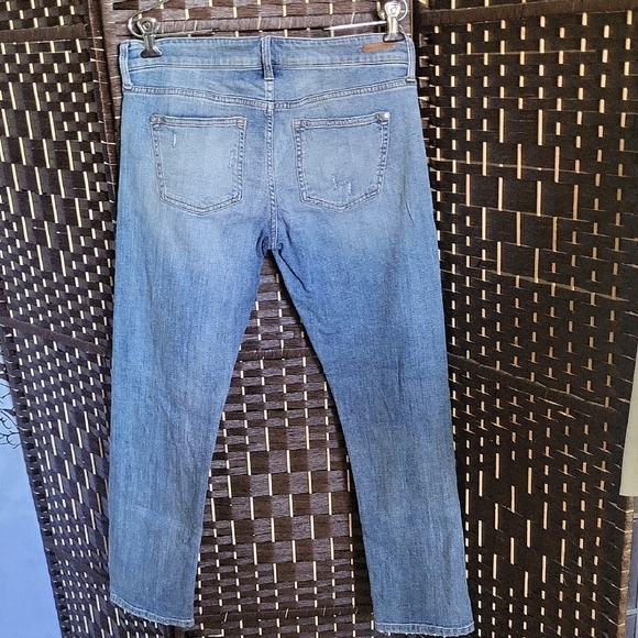 Pilcro Blue Straight Leg Jeans Classic Denim - Picture 4 of 7